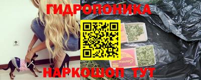 mdpv Кингисепп